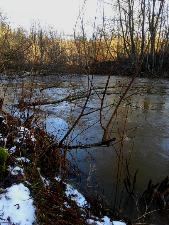 20150113_115304.jpg