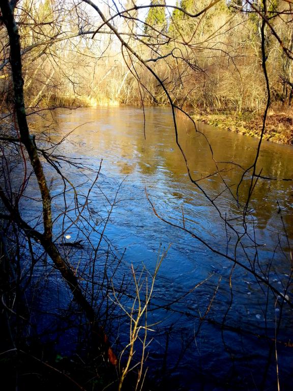 20150113_120410.jpg