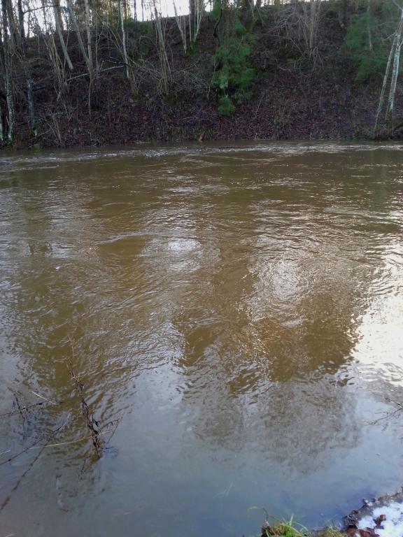 20150113_115255.jpg