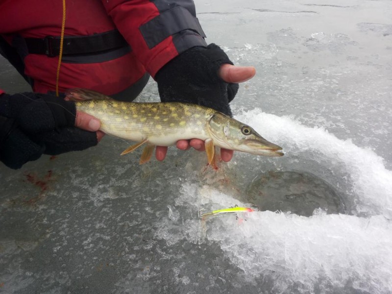 20150117_123954.jpg