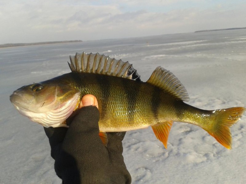 2015-02-01 13.50.26.jpg
