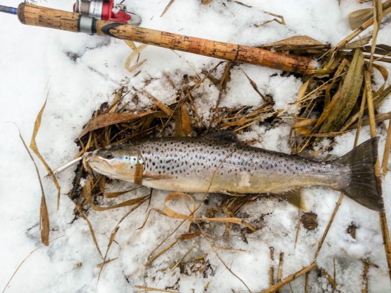 20150131_135936.jpg