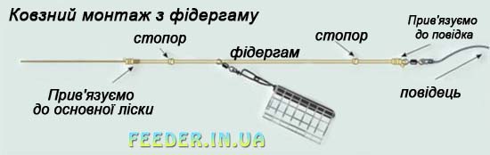 07698a500d32.jpg
