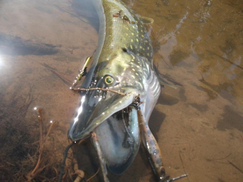 DSCF7607.JPG