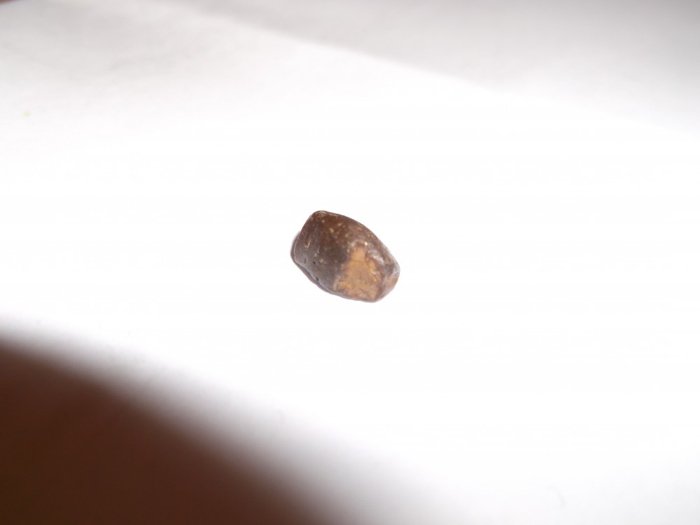 DSCF3445.jpg