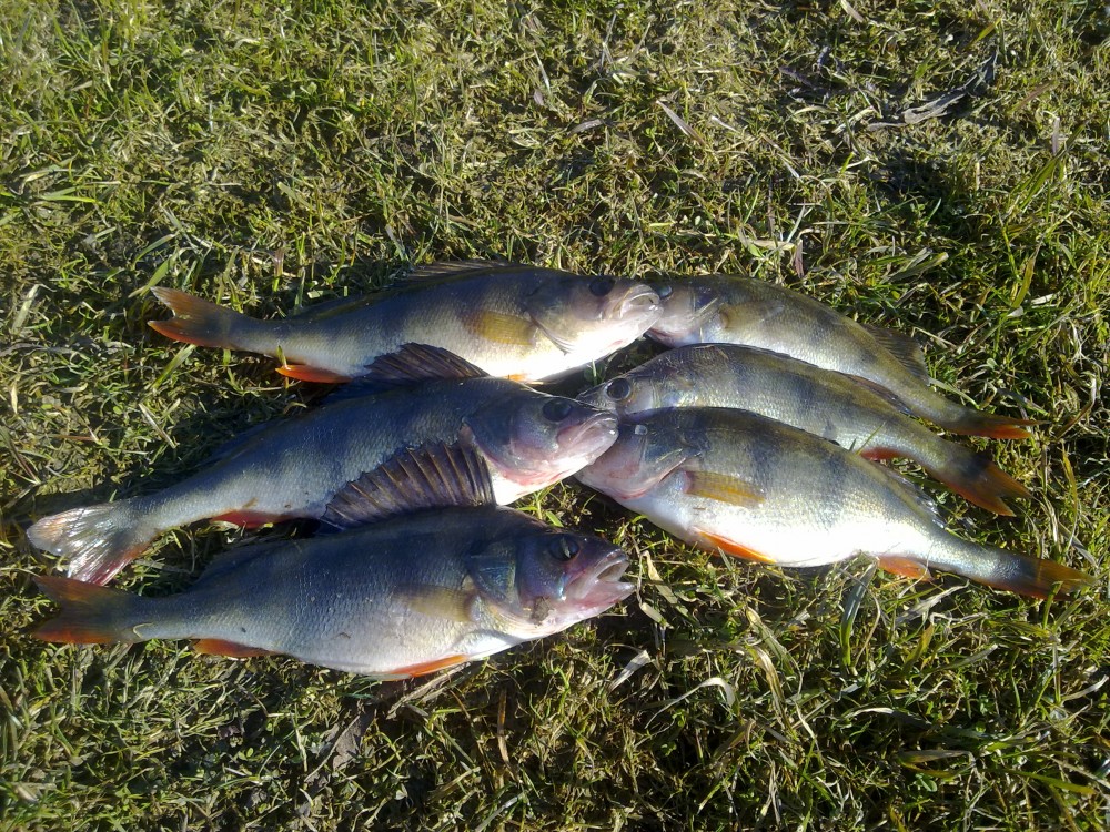 20150316593.jpg