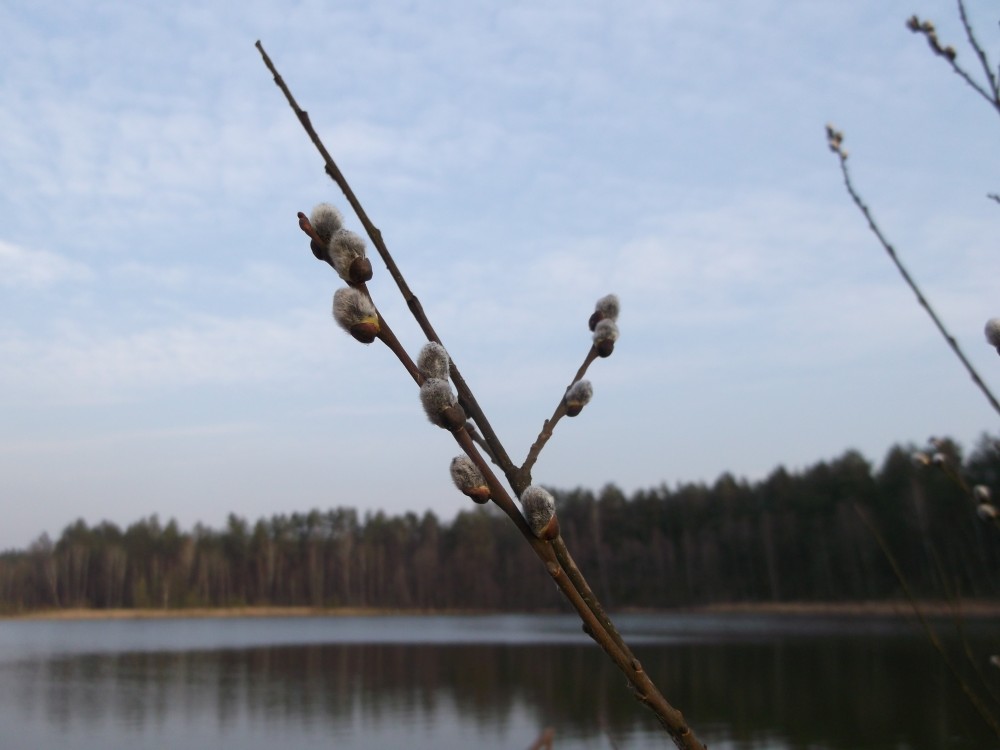 DSCF3460.jpg