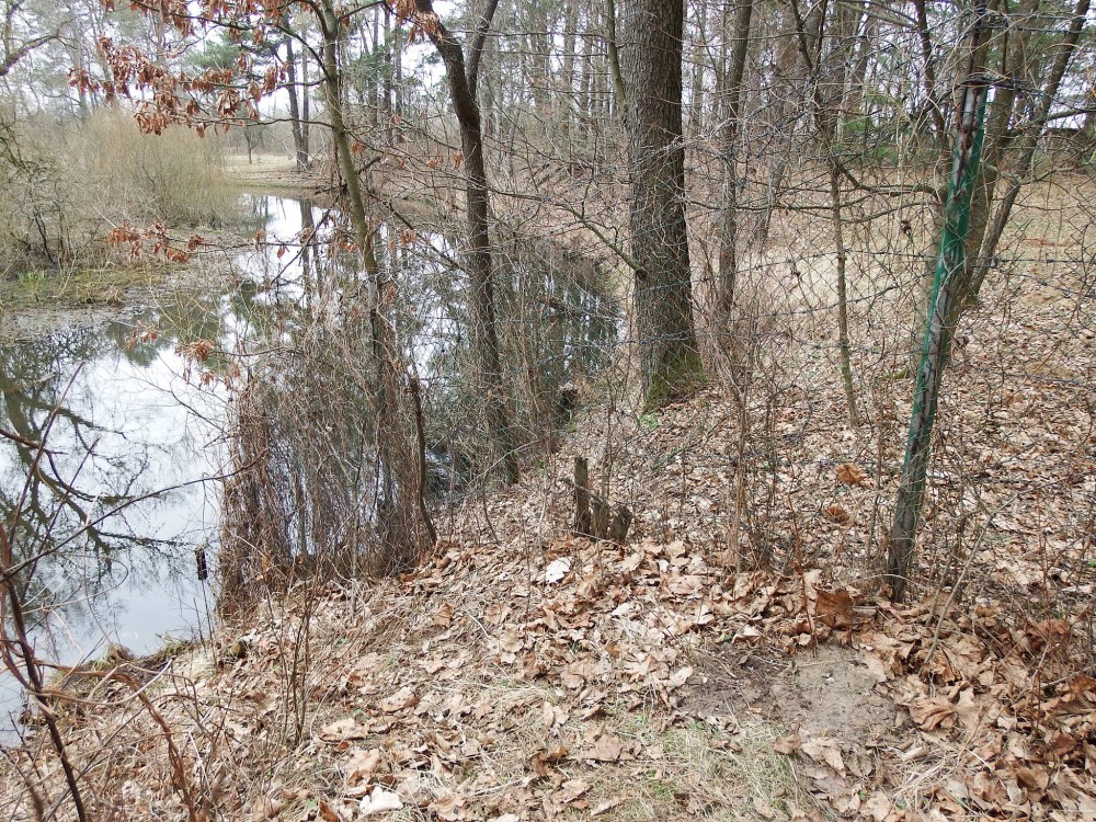 foto1.jpg