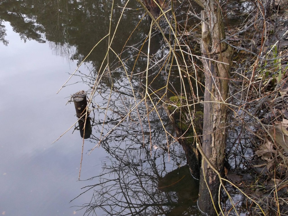 foto2.jpg
