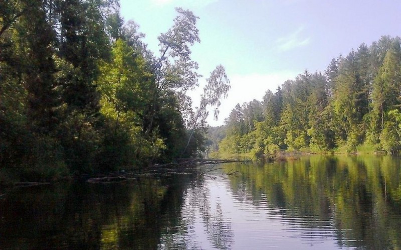 WP_20130630_002.jpg