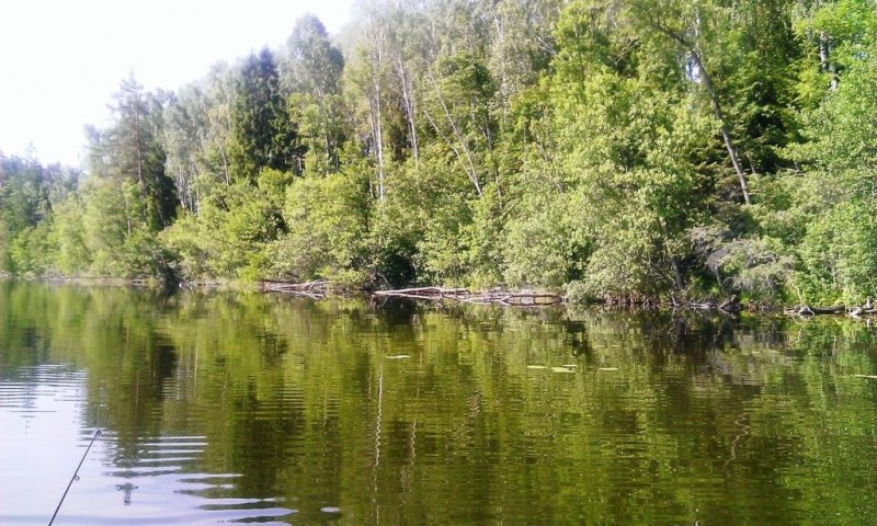 WP_20130630_005.jpg