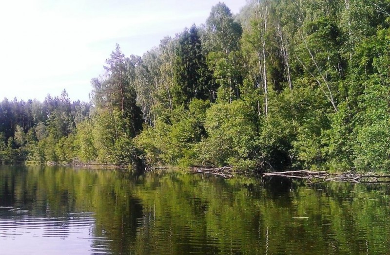 WP_20130630_006.jpg