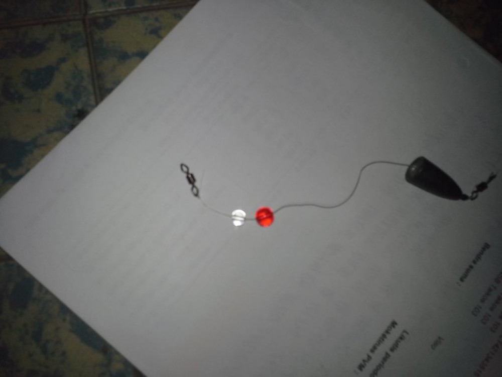 20150402_231924.jpg
