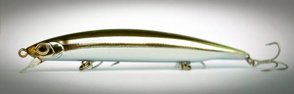 Bassday Log Surf 124 F.JPG