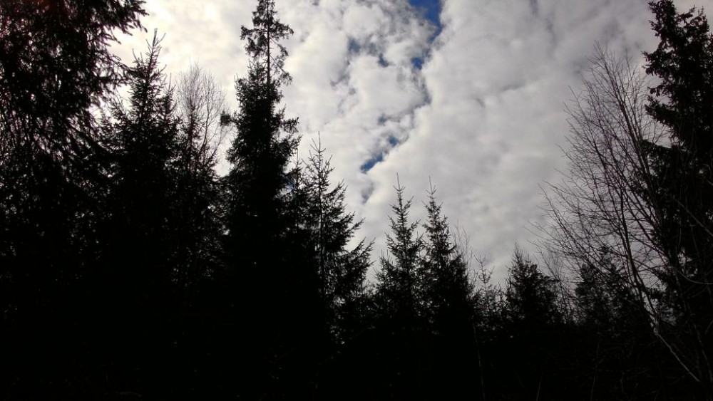 P_20150418_140144.jpg
