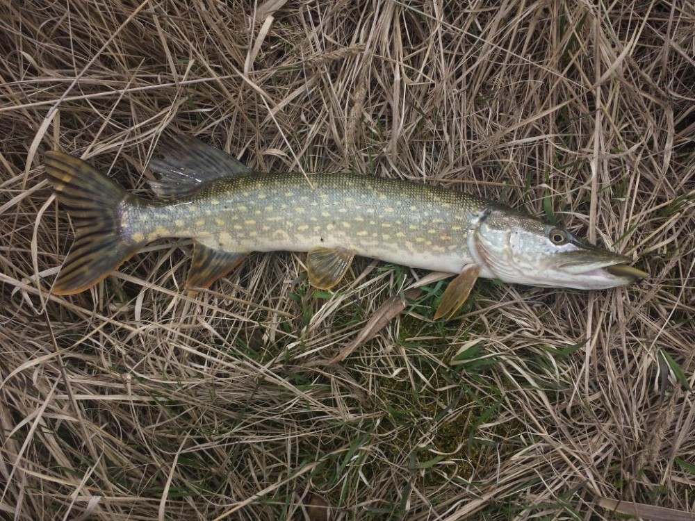 20150421_133505.jpg