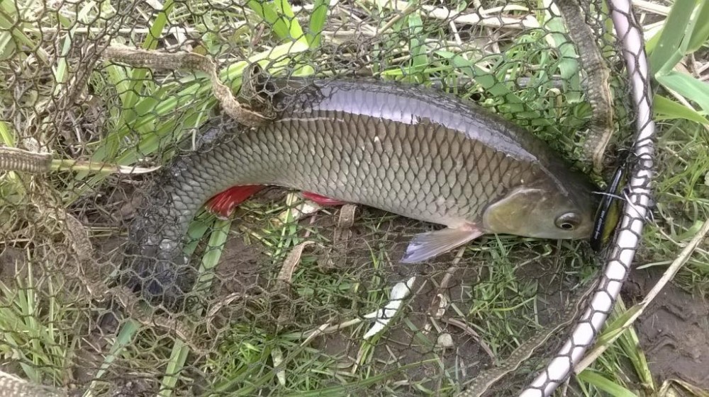 WP_20150501_001.jpg