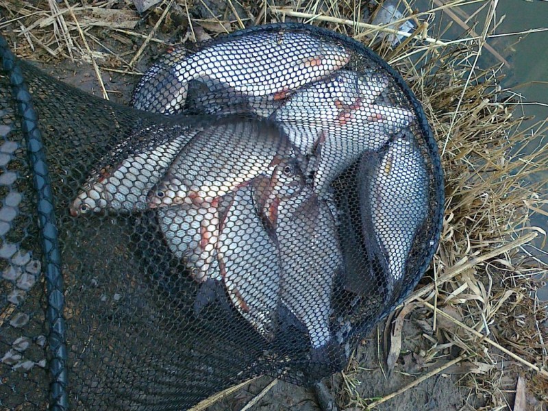 20130420002.jpg