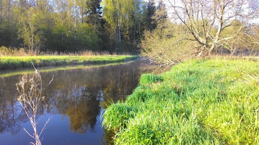 P_20150509_073117.jpg