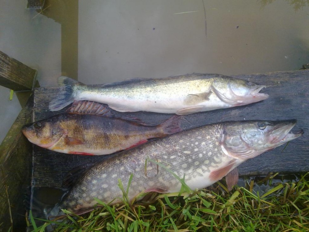 20150522602.jpg