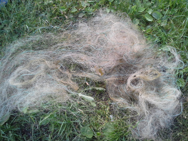20150604_142933.jpg