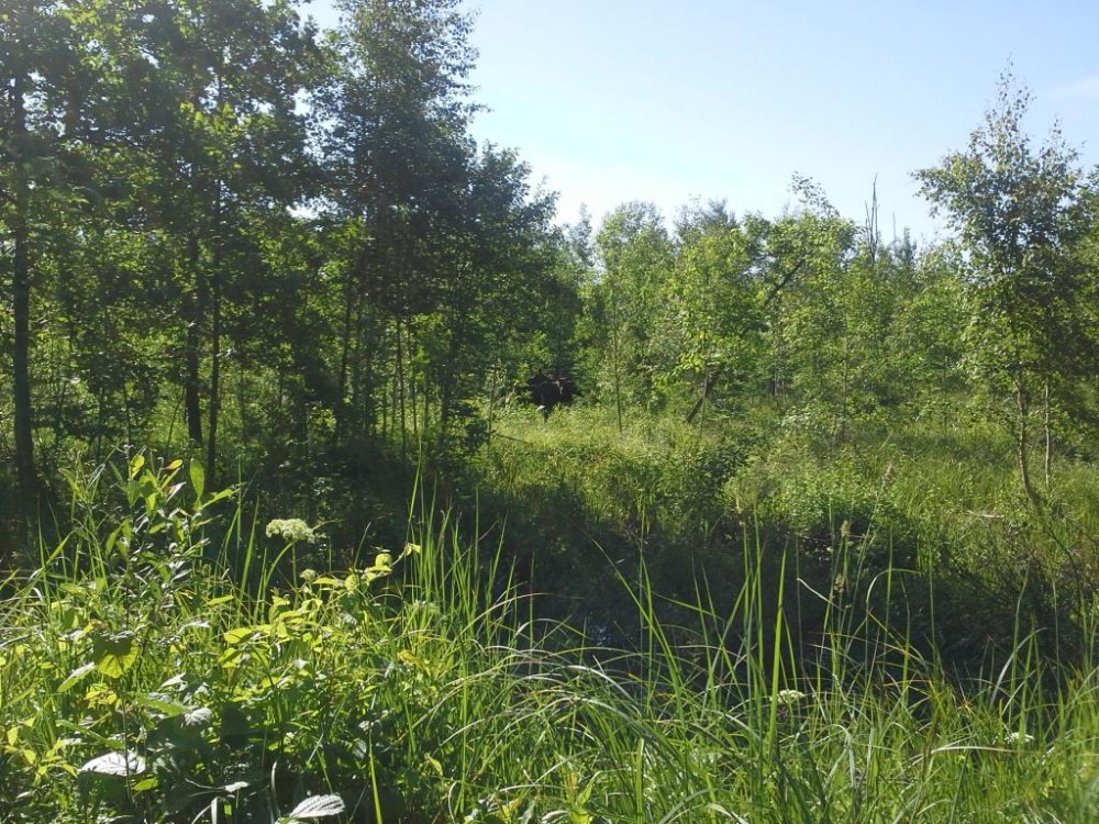 20150616_085500.jpg