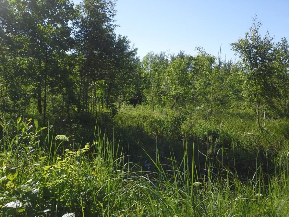 20150616_085339.jpg