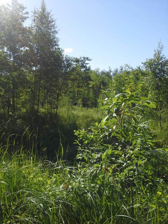 20150616_085148.jpg