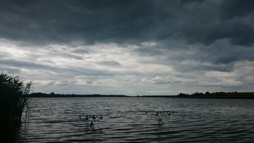 DSC_4292.JPG