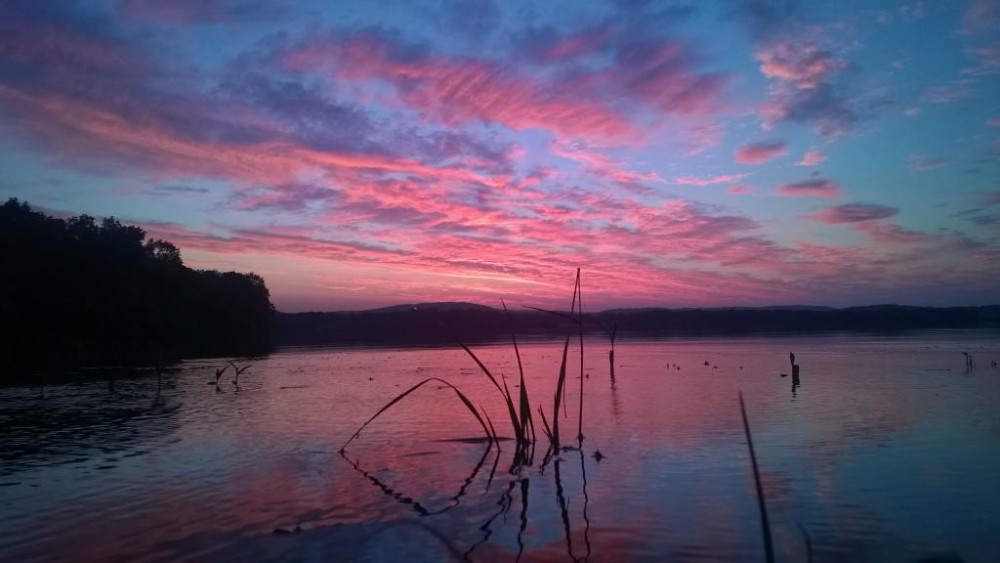 WP_20150711_002.jpg