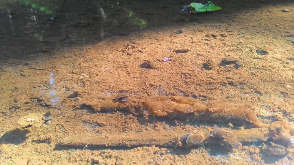 P_20150718_103052.jpg