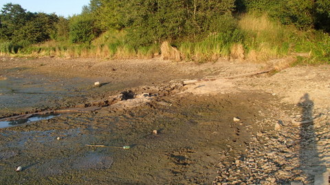 P8111765.JPG