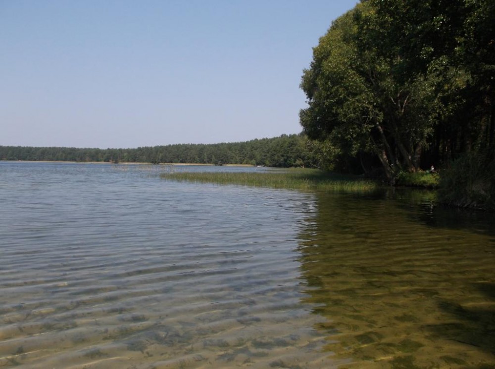 DSCF0073.JPG
