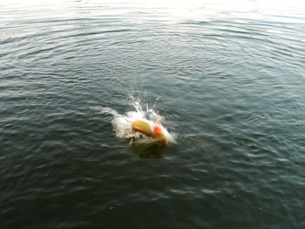 DSCN2709.jpg