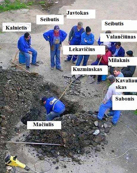 maciulis2.jpg