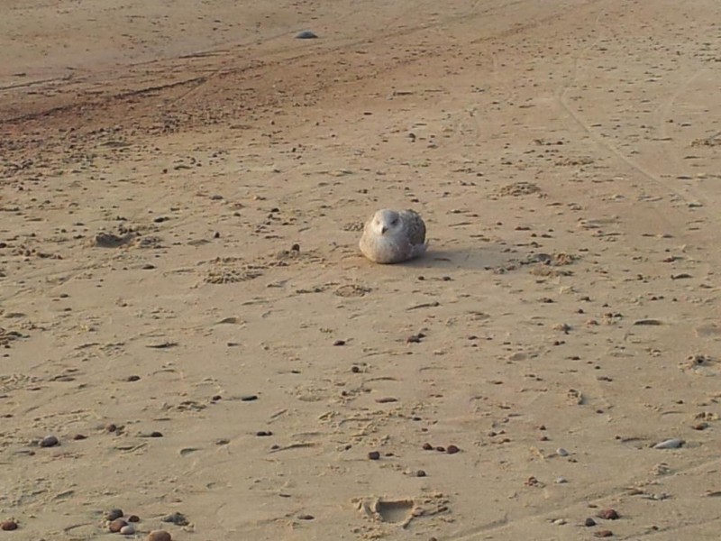 20130422_191338-1.jpg