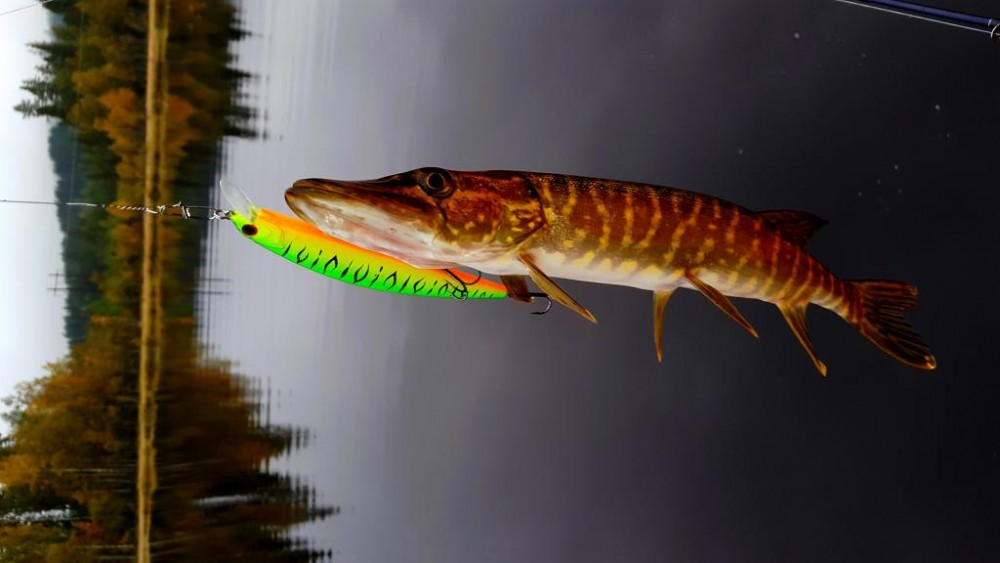 20150916_192040.jpg