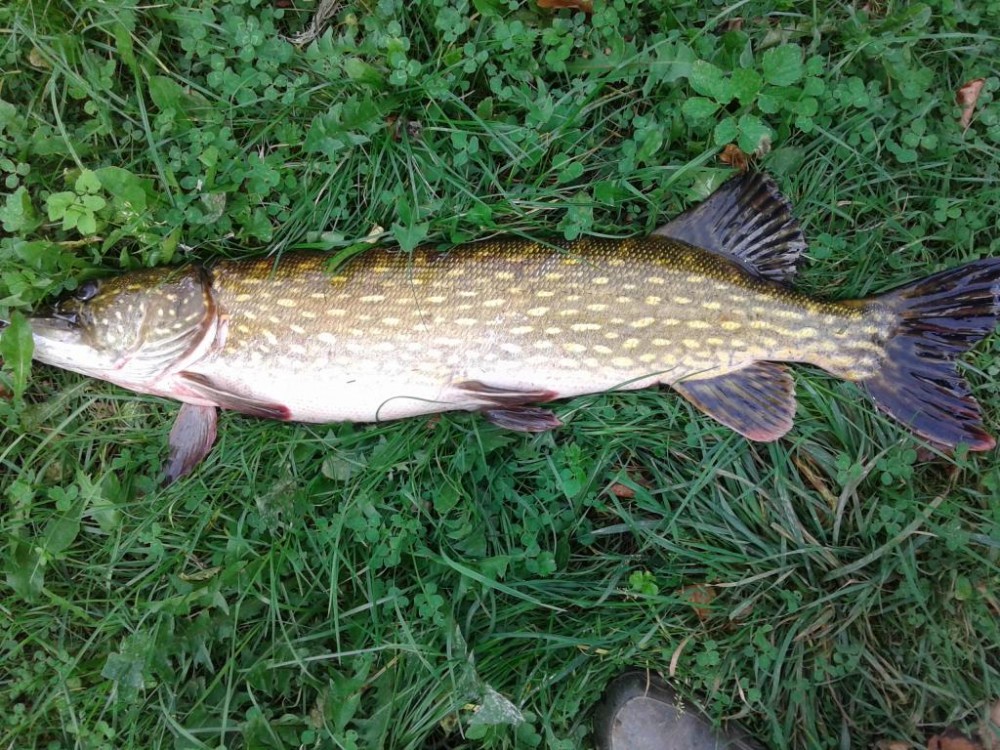 20151002_092638.jpg
