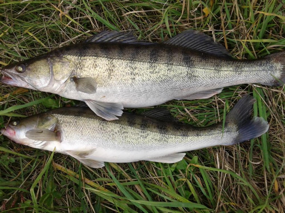 20150911_175045.jpg