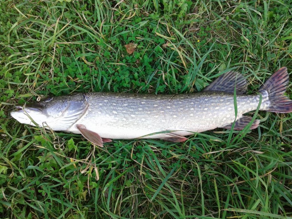 20150924_152553.jpg