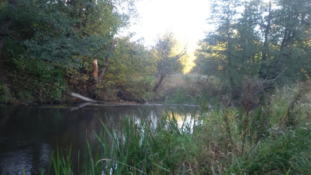 20150930_082054.jpg