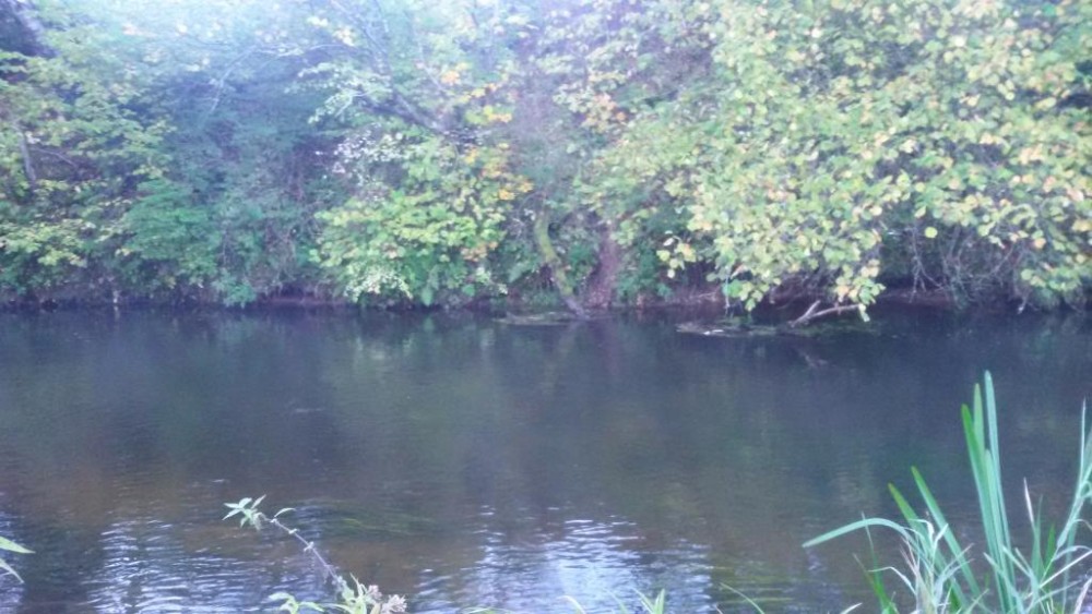 20150930_082021.jpg