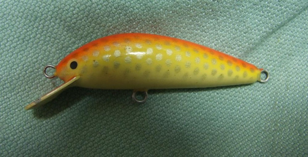 DSCF6246.jpg