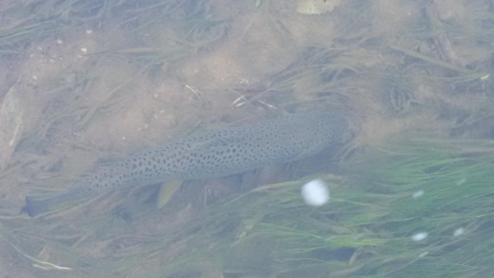 20151009_160033.jpg