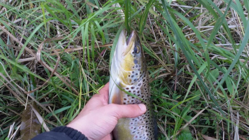 20151009_155757.jpg