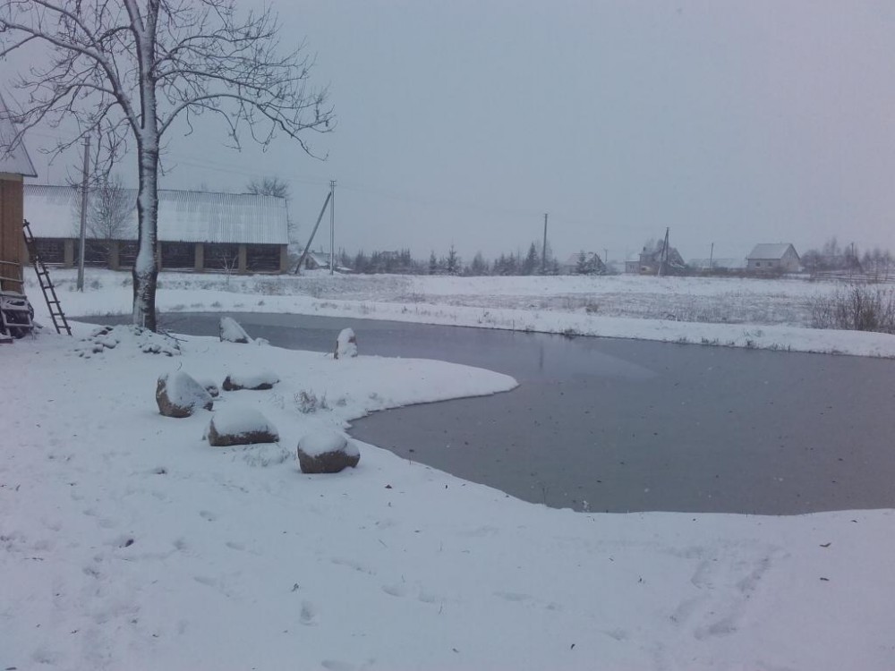 20151228_110548.jpg