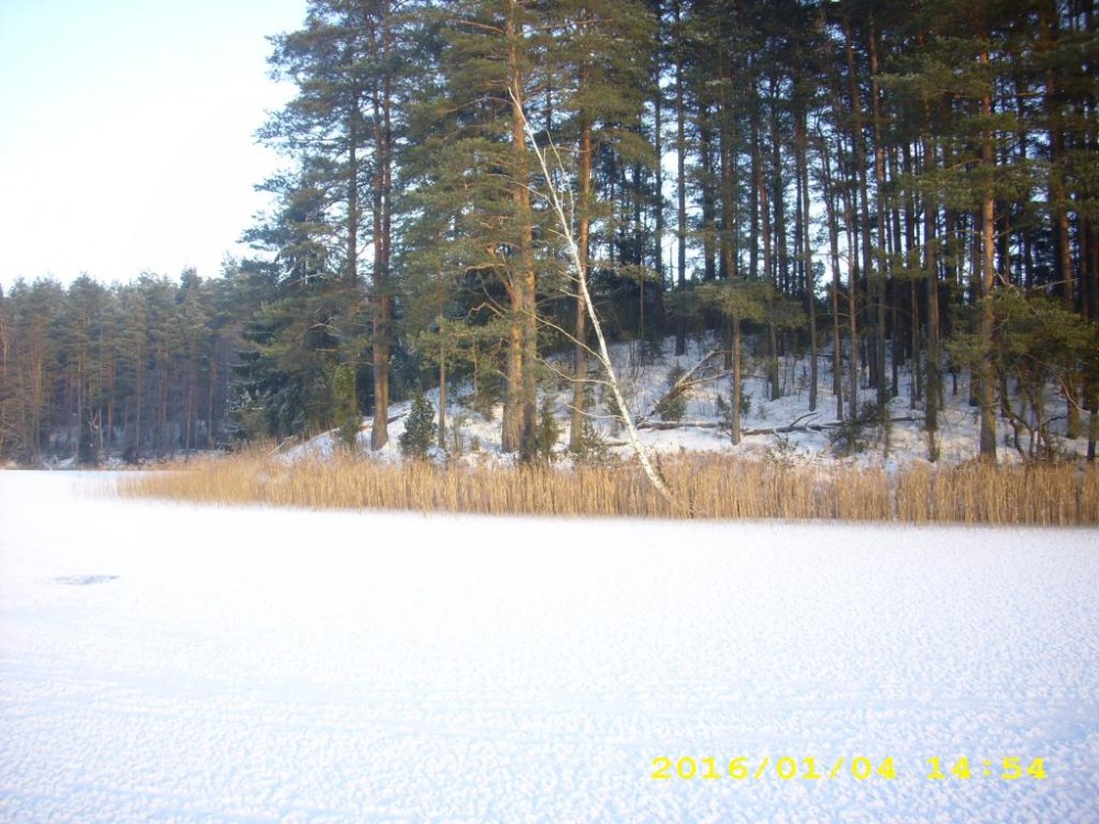 DSCI2859.JPG