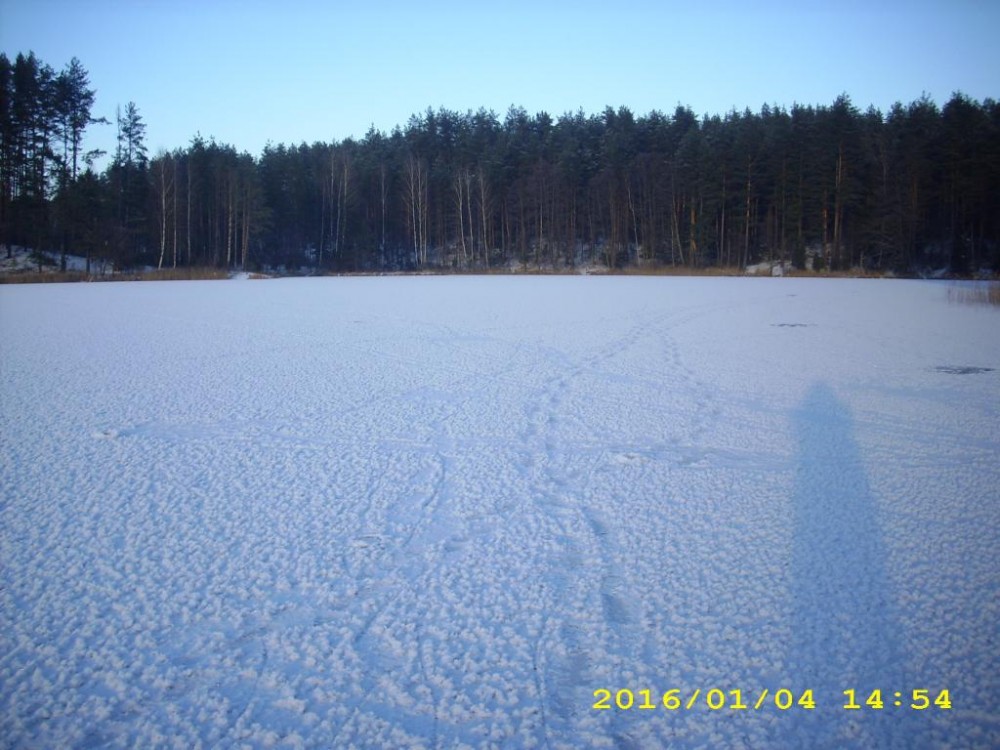 DSCI2862.JPG