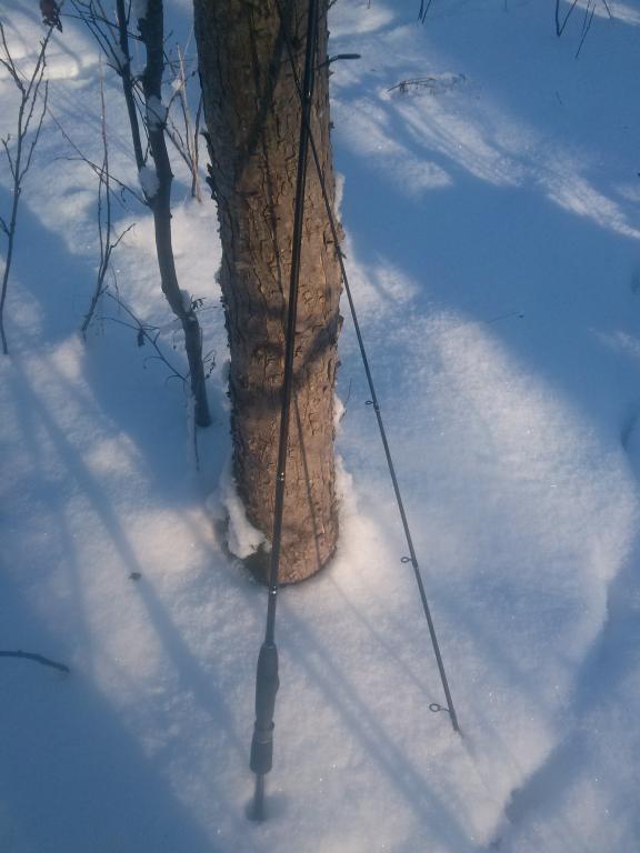 CAM00357.jpg