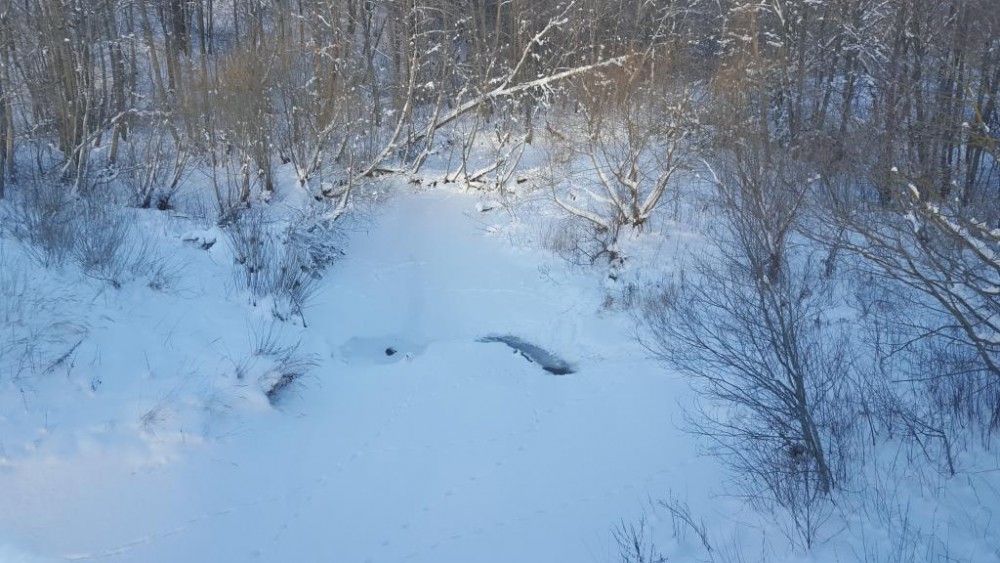 20160118_115845.jpg